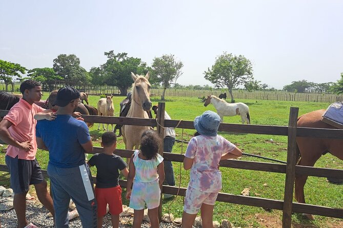 2-Hour Horseback Riding Tour at Sunset from Punta Cana - Horses, guides, and the first-time rider question