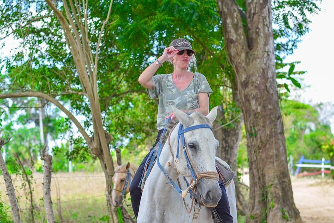 2-hour sunset horseback ride from Punta Cana - Local flavors: cocoa, coffee, and mamajuana