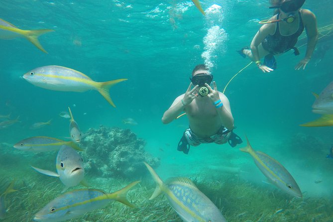 3 ADVENTURES: Sailing Catamaran Cruise - Hooka Diving - Snorkeling - The Catamaran Is the Social Center of the Trip