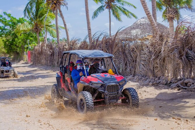 3-Hour Extreme Buggy Tour of Punta Cana - Vehicle condition and safety deserve attention