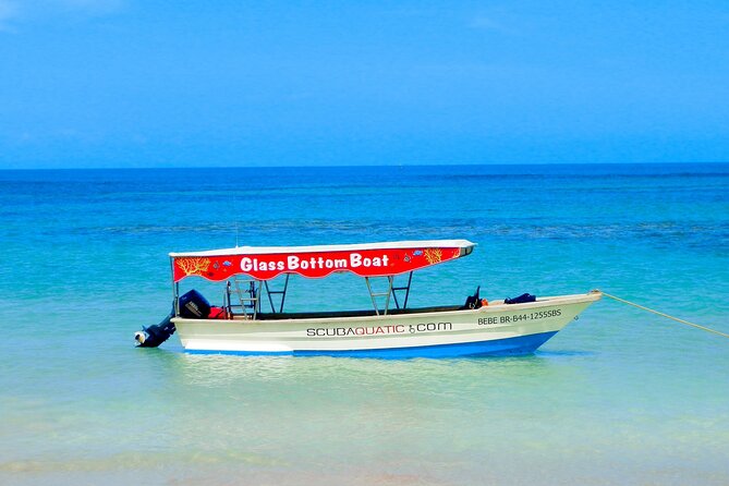 3 hrs Glass Boat Tour in Punta Cana - Third stop: two hours at a natural pool