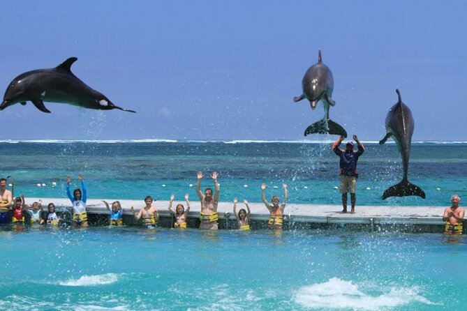 3 hrs Glass Boat Tour in Punta Cana - Who will get the most from this outing