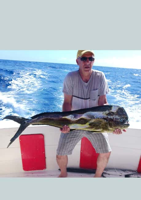 4 hour deep sea fishing experience from punta cana - What this Punta Cana fishing trip really offers