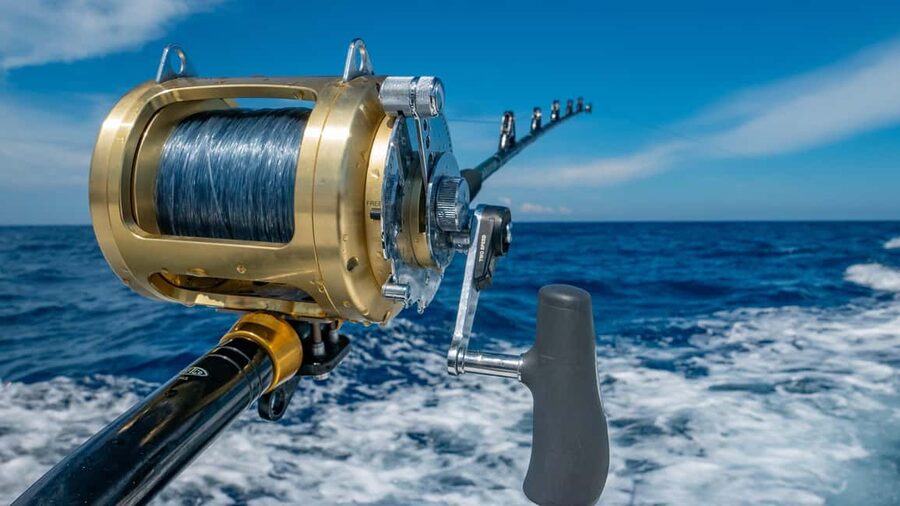4 hour deep sea fishing experience from punta cana - How trolling works on the open Caribbean