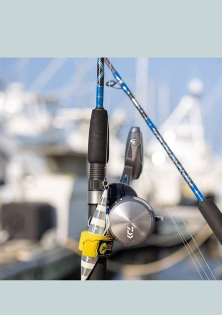 4 hour deep sea fishing experience from punta cana - Booking tips for a smoother morning