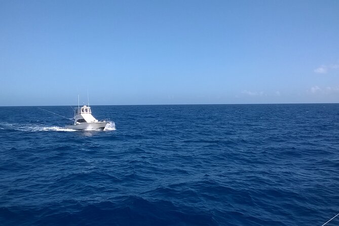 4 Hour Punta Cana Fishing Tour - The boat, group size, and how much space you get
