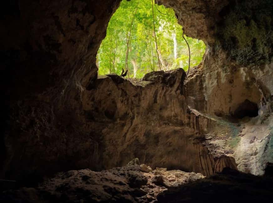 4in1: Los Haitises+ Kayaking+ Natural Pools+ Montana Redonda - Cano Hondo brings a welcome change of pace