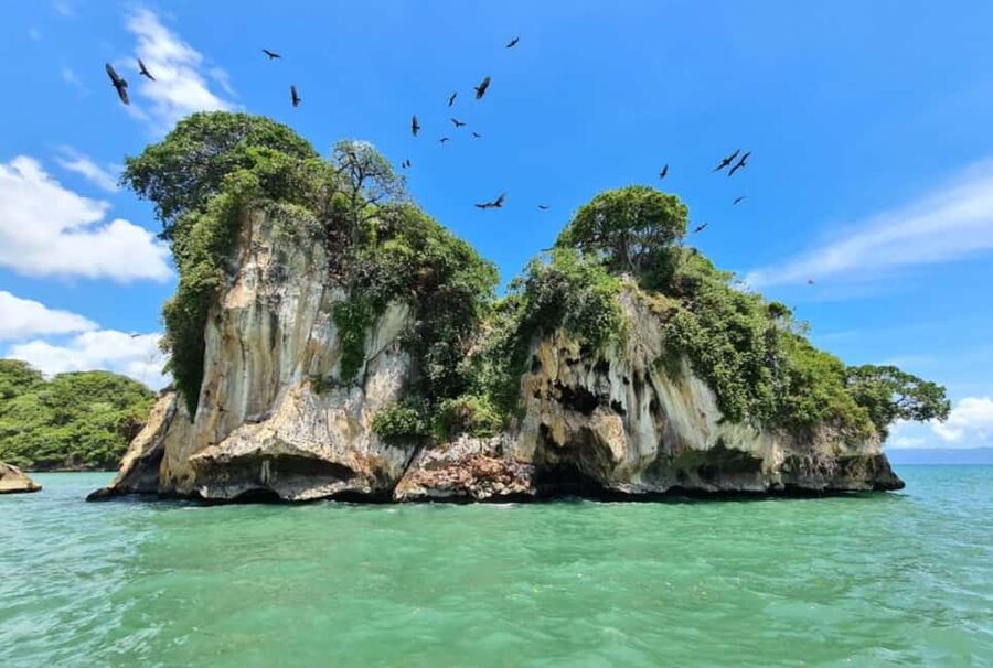 4in1: Los Haitises+ Kayaking+ Natural Pools+ Montana Redonda - What to pack and who should book