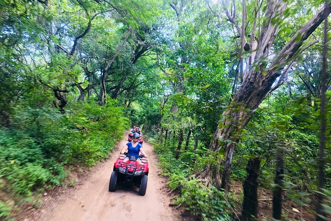 4x4 Dominican Adventure with Chocolate and Coffee Tasting - Coffee, cocoa, tea, Mamajuana, and rum at the farm stop