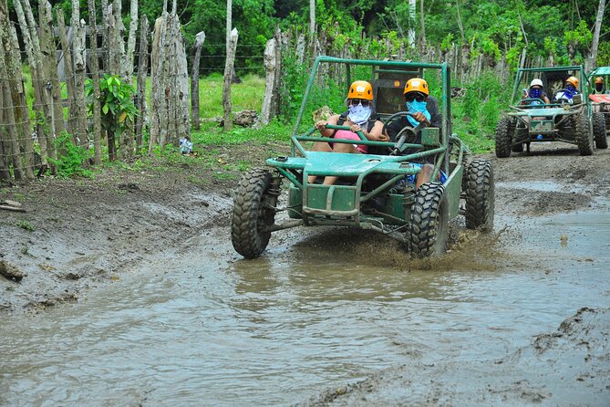 5 tours in 1 (Eco Farm/Horseback/City Tour/Buggy/Zipline) - Coffee, cocoa, and a taste of rural life