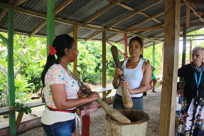 5 Tours of Jungle and Dominican Culture with Lunch - Lunch and freshwater swimming by the Anamuya River