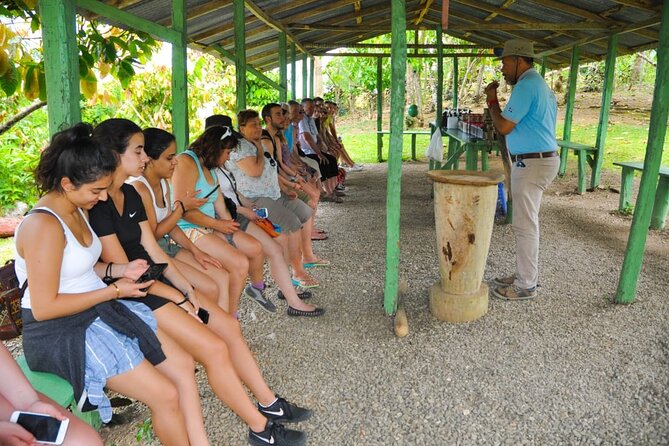 8-Hour Tour Enjoying the Dominican Culture Through the Countryside - Batey paths, sugar cane, and the view from San Dionisio