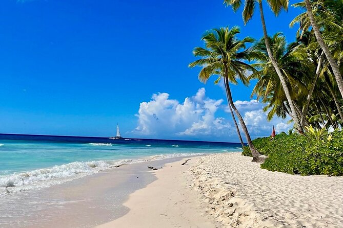 A Magical Day on Saona Island - Key points to know before booking