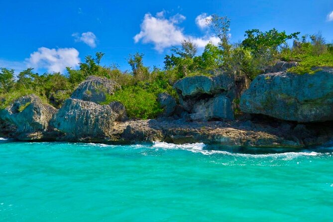A Magical Day on Saona Island - Dominican buffet lunch and open bar