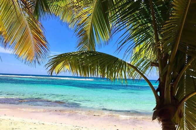 A Magical Day on Saona Island - Who will enjoy this private Saona excursion?