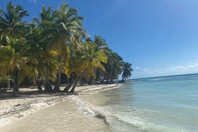 A Magical Day on Saona Island - Leaving Punta Cana for Bayahibe