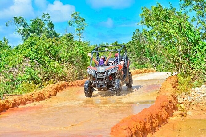 Adventure Tour con Buggies Ziplining Cenote y Taino Culture - What the $139 price really covers