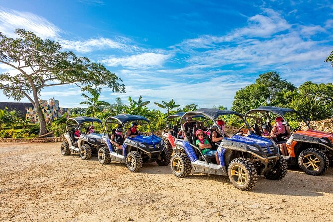 Adventure Tour con Buggies Ziplining Cenote y Taino Culture - Coffee, cacao, and mamajuana at the local tasting
