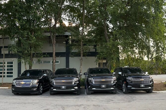 Affordable Private Airport Transfer in Punta Cana - Key points to know before booking