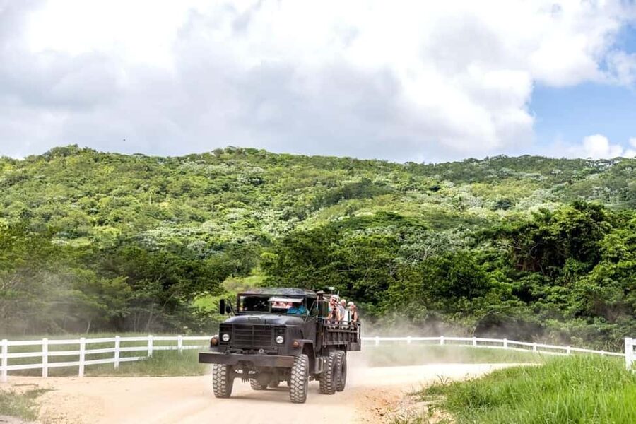 All-Inclusive Day Trip from Punta Cana: DR Culture Immersion - Who should book this Punta Cana culture tour?