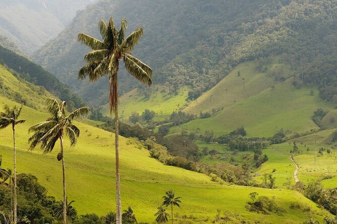 Anamuya Mountains Small Group Walking Tour - Leaving Punta Cana for the Anamuya foothills