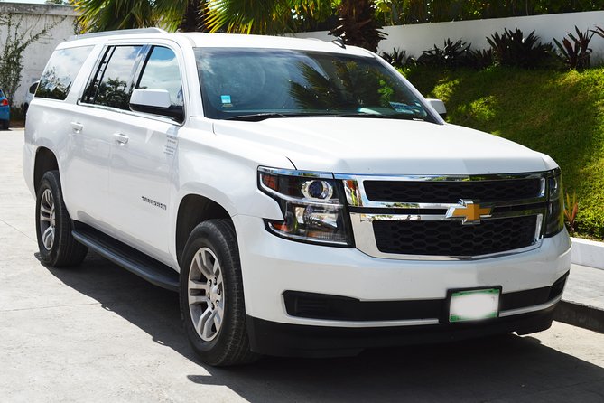 Arrival Luxury Transportation: Punta Cana International Airport to Hotels (1-5) - What the airport meeting should look like