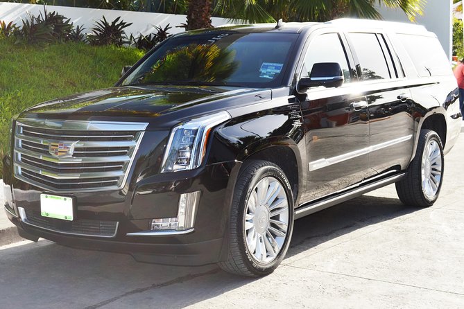 Arrival Luxury Transportation: Punta Cana International Airport to Hotels (1-5) - The direct ride to your hotel
