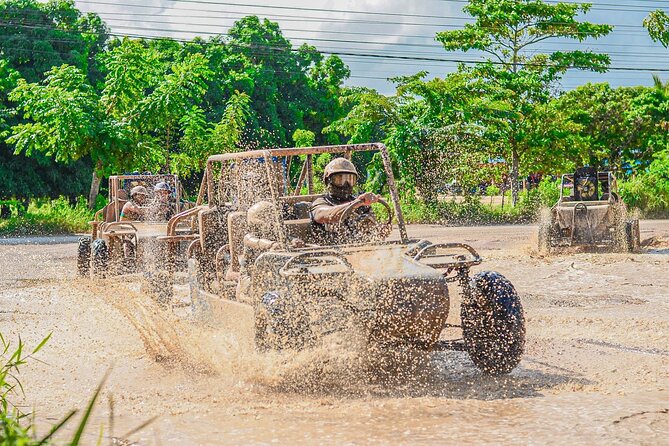ATV Buggy Adventure in Macao Beach and Traditional Tastings - Cocoa, coffee, tobacco, and Mamajuana at a local home