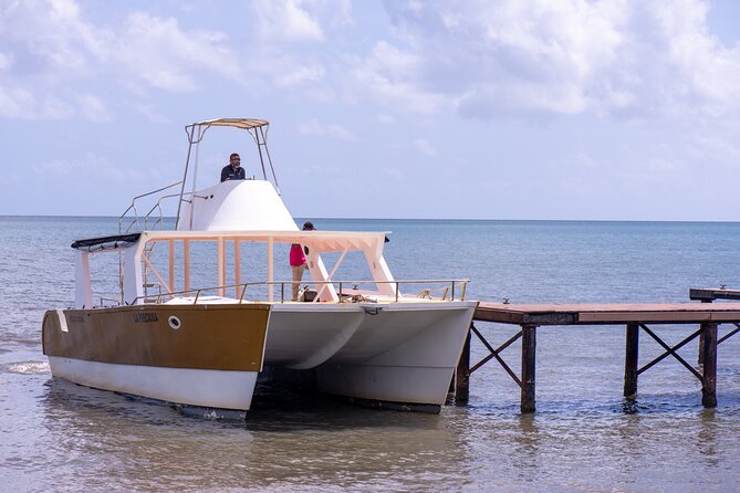Bacardi Island Excursion with Catamaran, Beach and Lunch - Three hours on Cayo Levantado