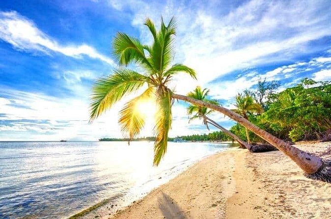 Barceló Bávaro Palace - Round Trip Shuttle - Punta Cana Airport - Who will find this transfer most useful?