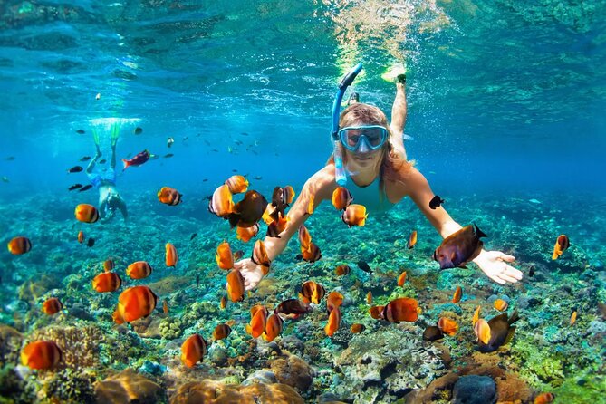 Bavaro Punta Cana EN boat party with drinks and transportation - Private boats for groups larger than 30