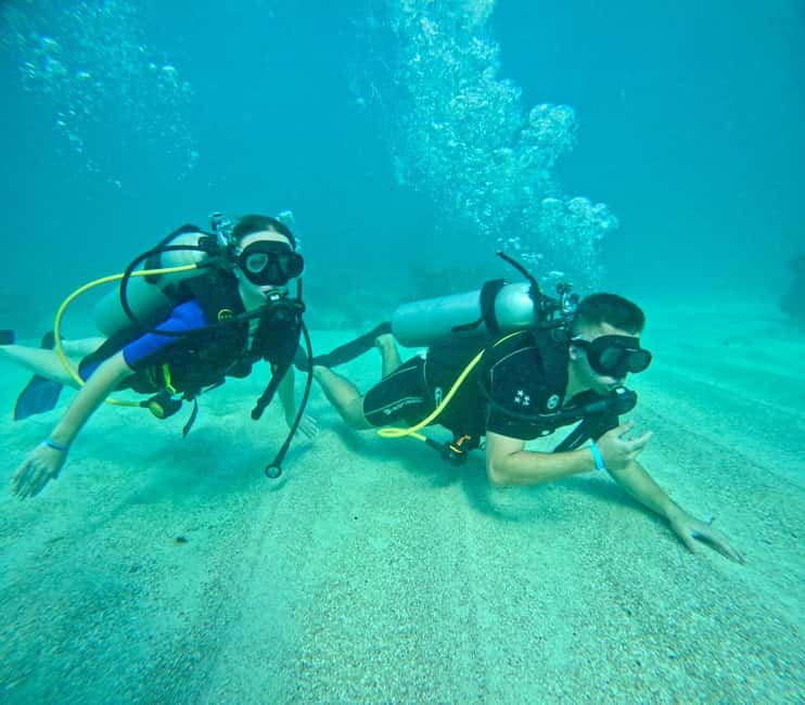 Bávaro: Scuba Diving Experience for Beginners - Key points to know before booking