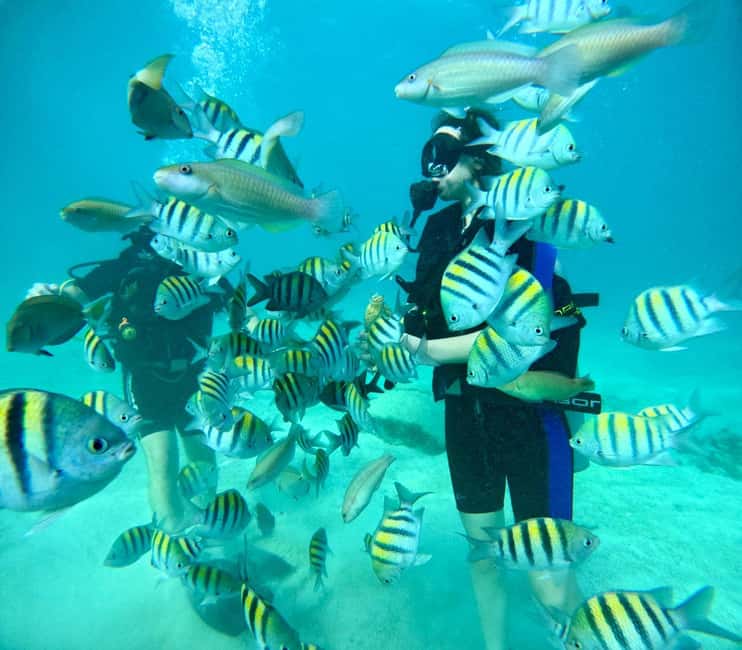 Bávaro: Scuba Diving Experience for Beginners - A gentle first step into scuba