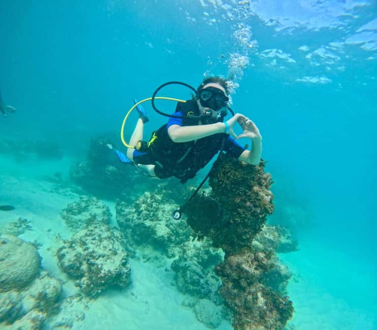 Bávaro: Scuba Diving Experience for Beginners - What happens from Bávaro pickup to the sea