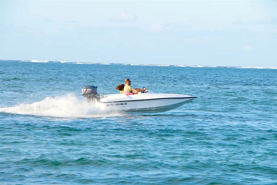 Bávaro: Speed Boat and Snorkeling Trip - Who will enjoy this most