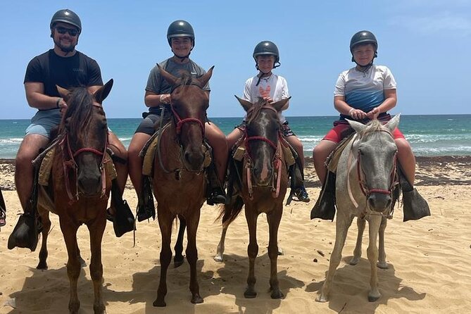 Beach Horseback Ride Tour at Punta Cana - Pickup from Punta Cana hotels