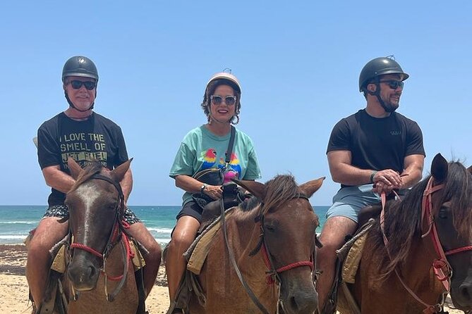 Beach Horseback Ride Tour at Punta Cana - Who should book this ride?