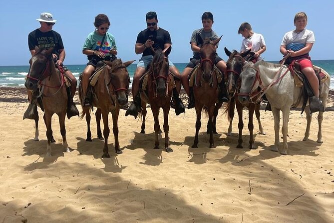Beach Horseback Ride Tour at Punta Cana - Practical tips for a smoother ride