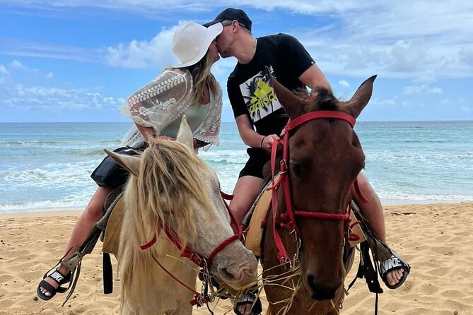 Beach Horseback Ride Tour at Punta Cana - What happens during the 2.5-hour outing