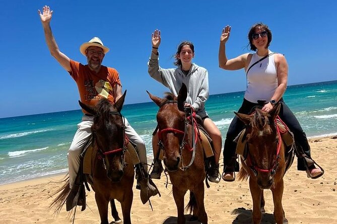 Beach Sunset Horseback Ride in Punta Cana - What the horses and guides add