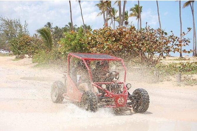 Boogies & Polaris - Explore Punta Cana in a Buggy - Thirty-five minutes at Macao Beach