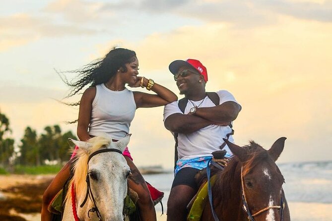 Buggy, horse and plantation ranch - The guides shape the day