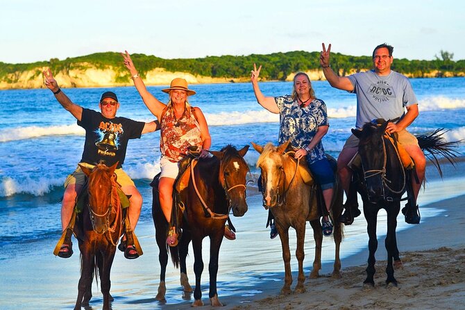 Buggy, horse and plantation ranch - A small ranch with a personal feel