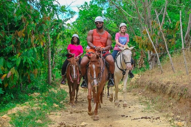 Buggy, Horse and Zip Line with Lunch included from Punta Cana - Pickup and timing deserve attention