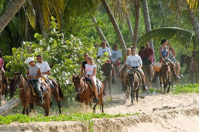 Buggy Horses and Zip Line from Punta Cana with Lunch Included - Three ways to experience Punta Cana beyond the resort