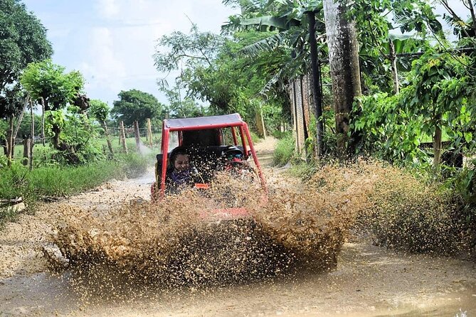 Buggy Off-Roading with Chocolate and Coffee Tasting In Punta Cana - Who will enjoy this outing most