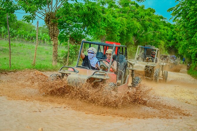 Buggy Ride Into the jungle with cave coffee & chocolate tasting - What the $53 price really gets you