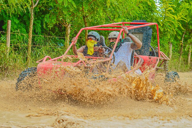 Buggy Ride Into the jungle with cave coffee & chocolate tasting - The ecological farm, coffee, chocolate, and tobacco