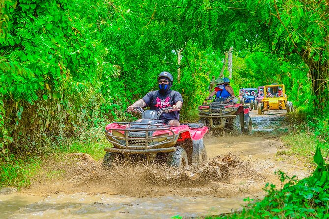 Buggy Ride Into the jungle with cave coffee & chocolate tasting - Pickup, group size, and practical planning