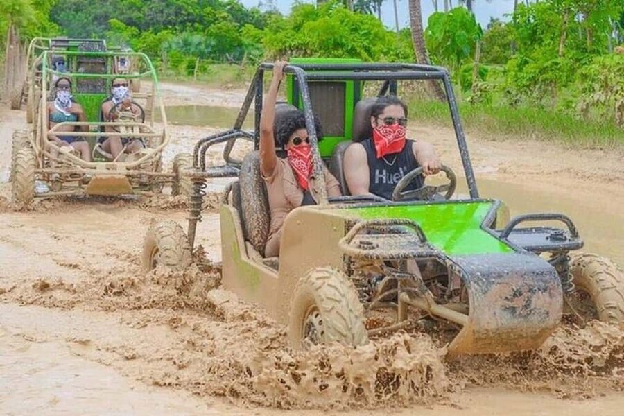 Buggy ride on rural routes and Macao Beach - The coffee and cocoa house